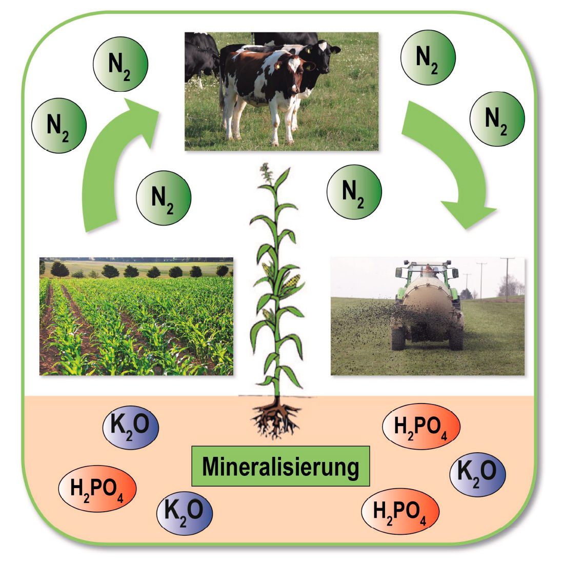 Mikrobiologische Dngemittel in Ostdeutschland kaufen