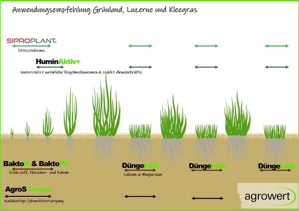 Anwendungsempfehlung für Grünland, Luzerne und Kleegras mit verschiedenen Düngemitteln und Wirkstoffen wie Siproplant, HuminAktiv, BaktoN, BaktoPK, AgroS Linsen und Kalk zur Unterstützung von Wachstum und Nährstoffversorgung.