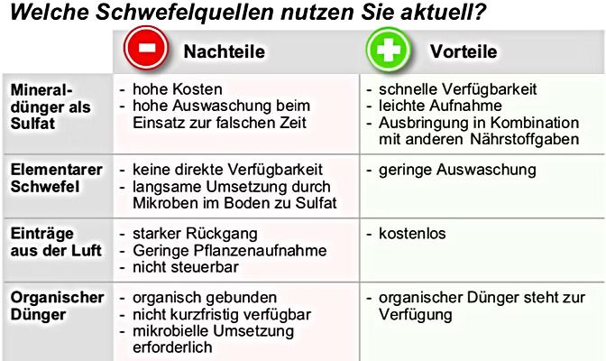 dünger für erdbeeren Erdbeerdünger für Erdbeeren und Walderdbeeren